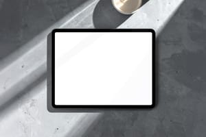Clean Frame Minimal Display Mockup Scene