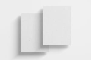 Dual Poster Branding Mockup Scene