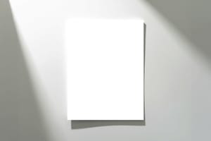 Minimal Paper Branding Display Mockup Scene
