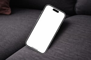 Phone Mockup on Grey Sofa