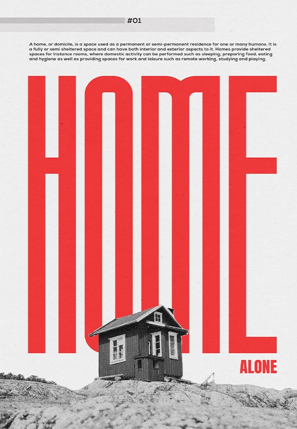 Home Alone Poster