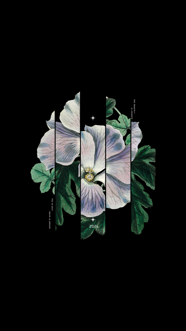 Vintage Botanical Hibiscus Flower Sliced Graphic Art with Blueprint of a Blooming Soul Minimalist Text and Lavender Petal Illustration on Black Background