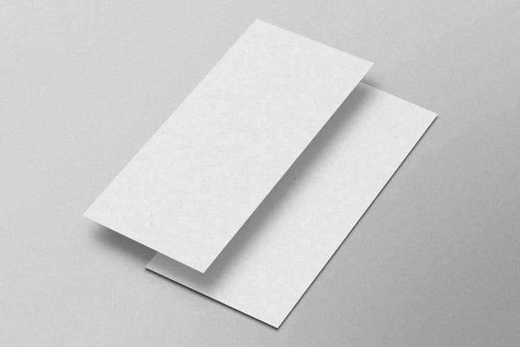 Modern DL Paper Flyer Mockup